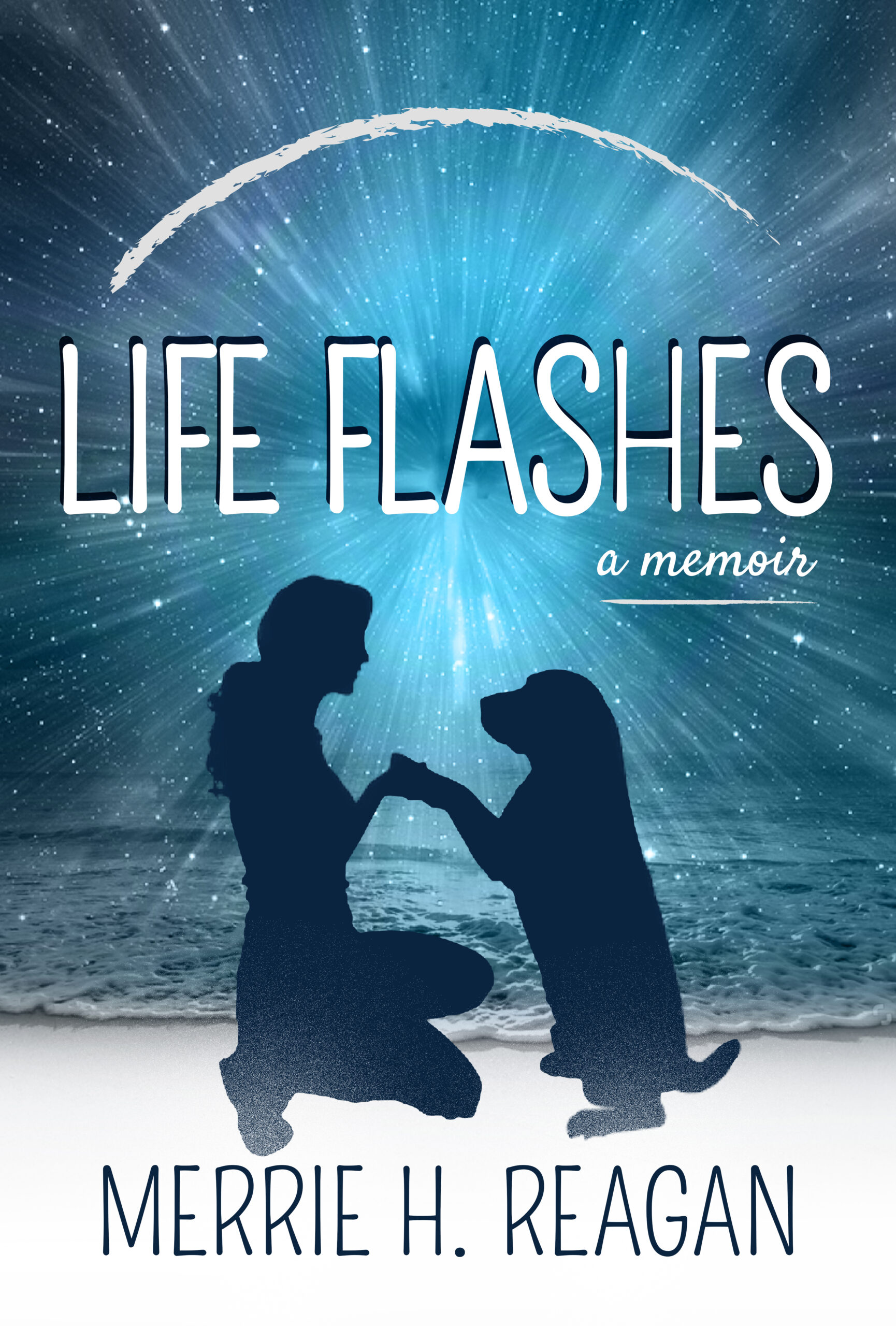 reagan-lifeflashes-cover